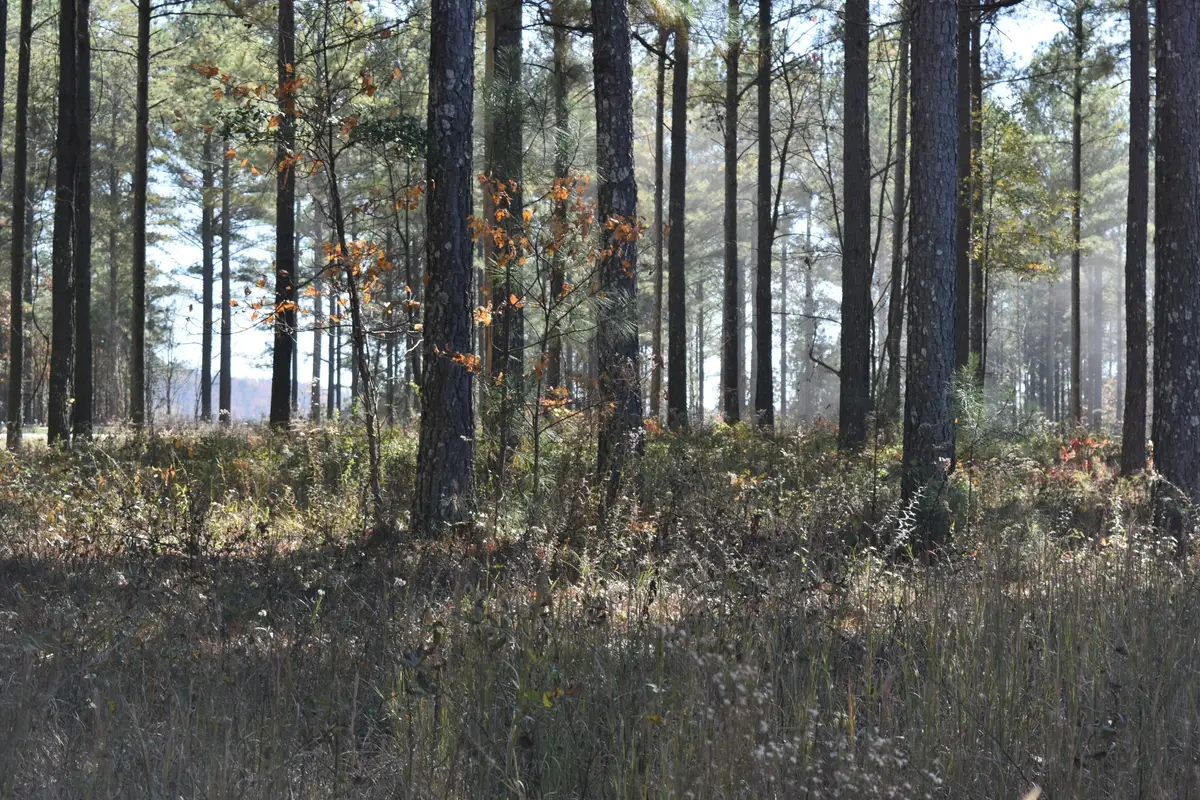 0 Split Rail Way, Guild, TN 37340 - #1