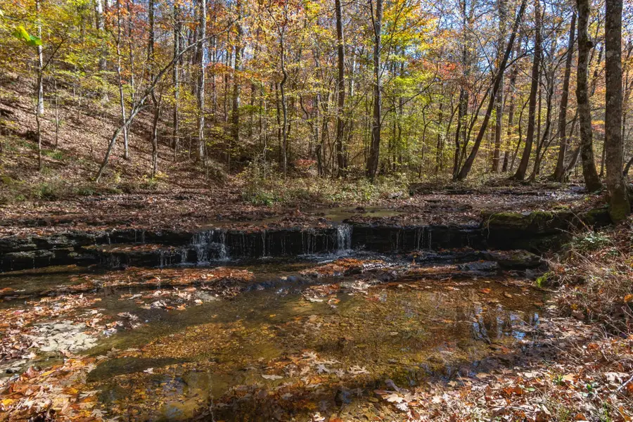 202 Ravenridge Rd, Summertown, TN 38483 - Image #3