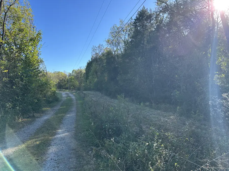 8625 Webb Rd, College Grove, TN 37046 - Image #3