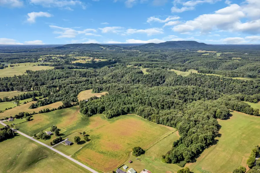 0 Lee Braswell Rd, Smithville, TN 37166 - Image #3