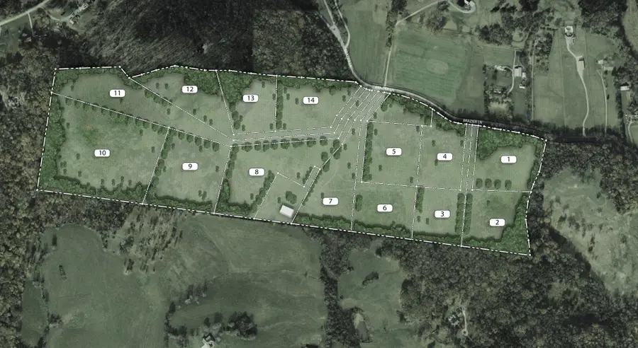 345 Brazier Ln, Gallatin, TN 37066 - Image #3