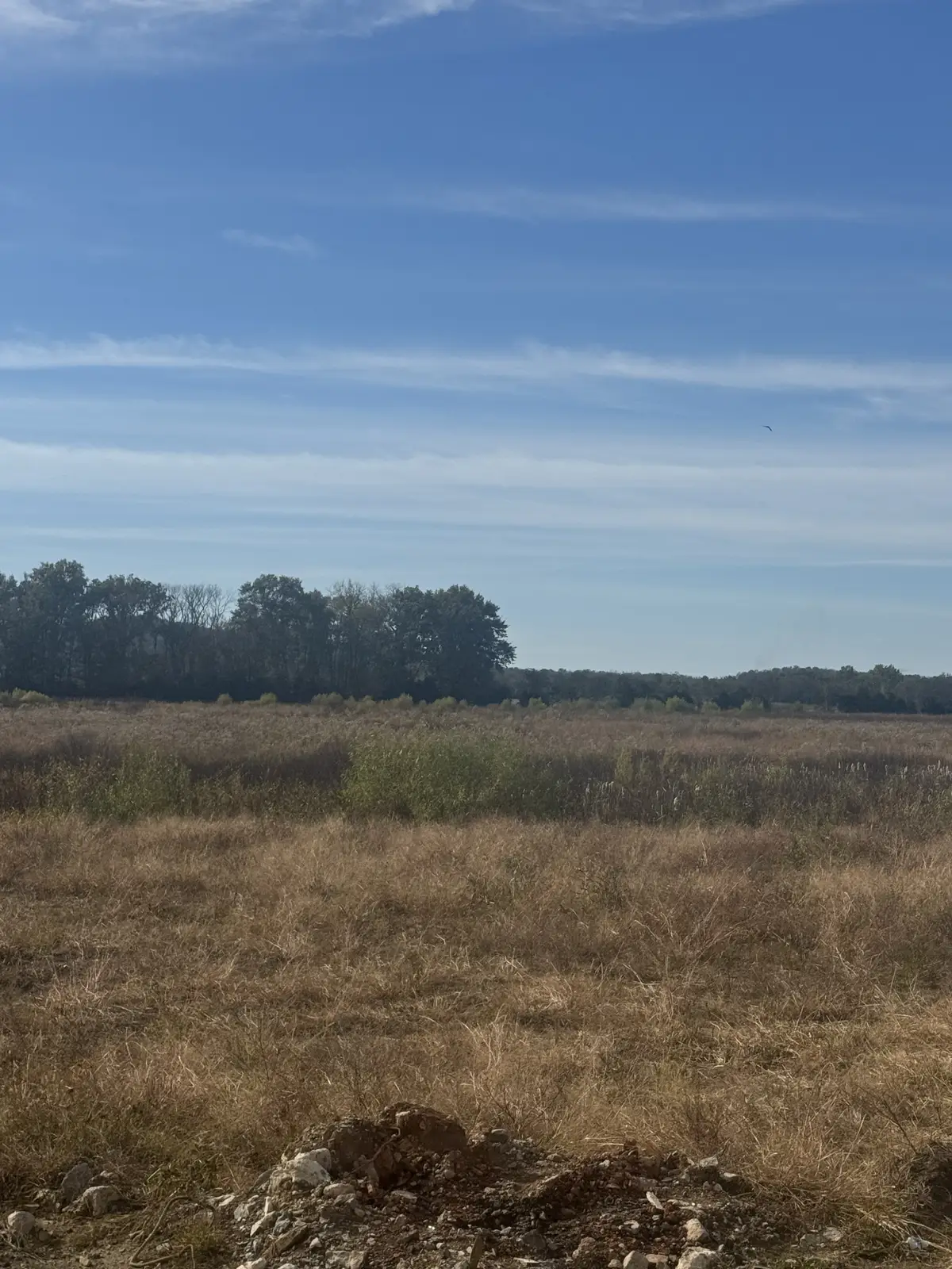 15283 Hwy 99, Eagleville, TN 37060 - Image #1