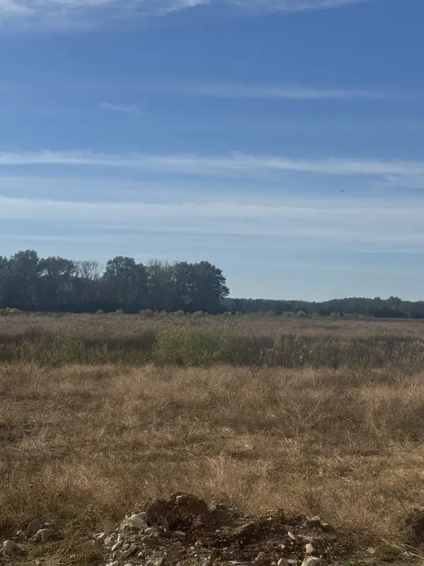 15283 Hwy 99, Eagleville, TN 37060