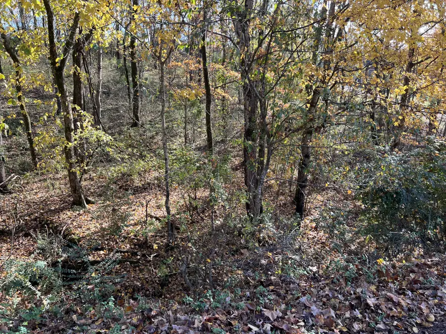 0 Hunters Lane, Ashland City, TN 37015 - Image #3