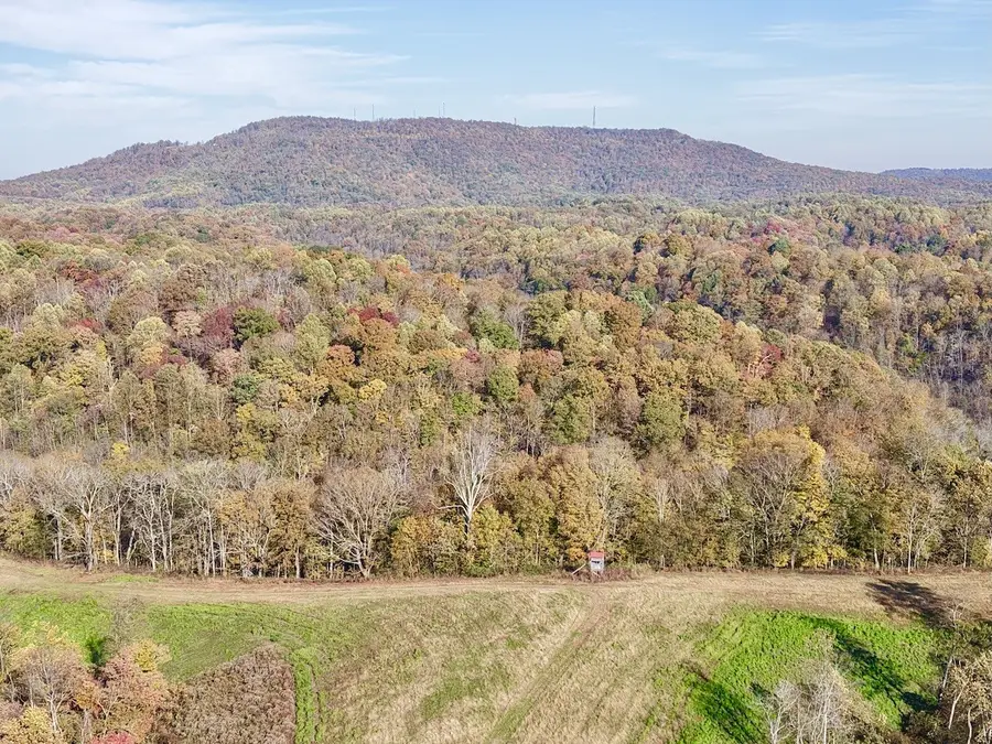 270 Higgins Rd, Woodbury, TN 37190 - #2