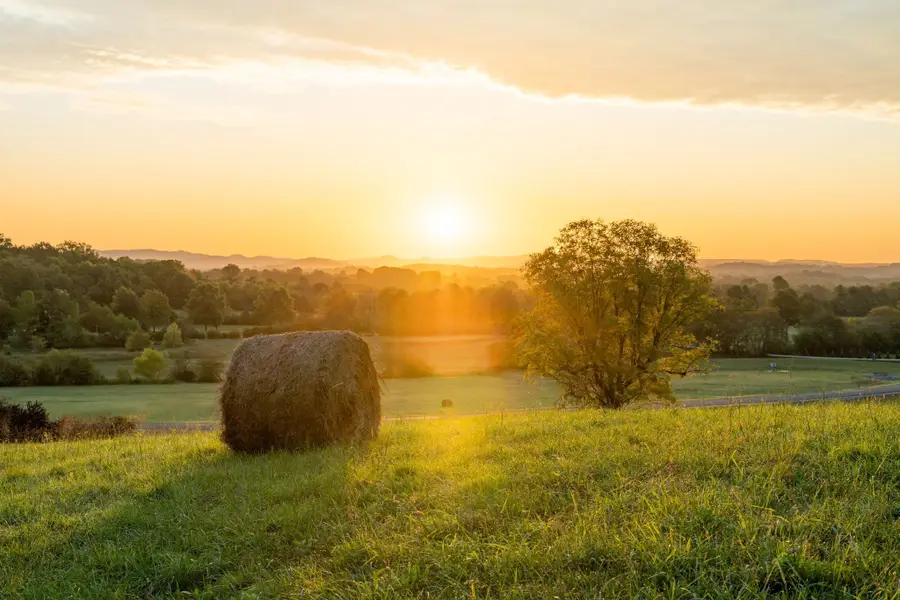 2001 Vista Creek Ln, Franklin, TN 37064 - #3