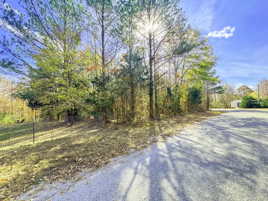 0 Beech Ridge Road, Parsons, TN 38363 - #2