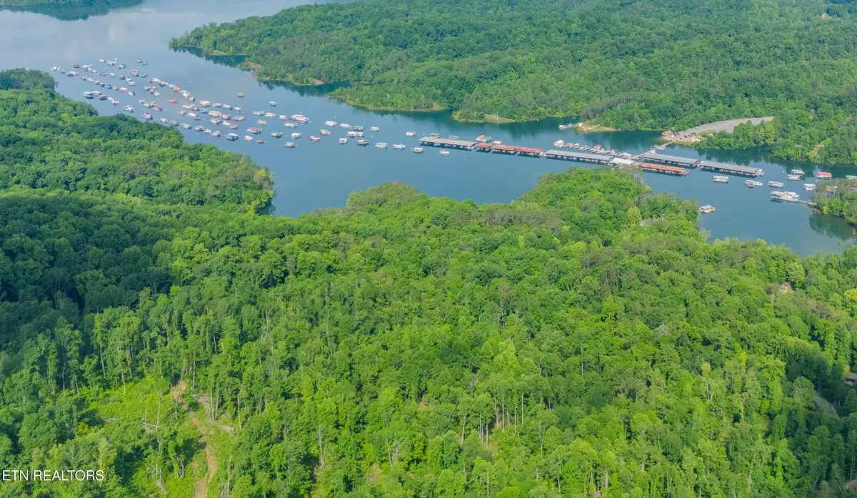 0 Lake Lane, New Tazewell, TN 37825 - Image #1