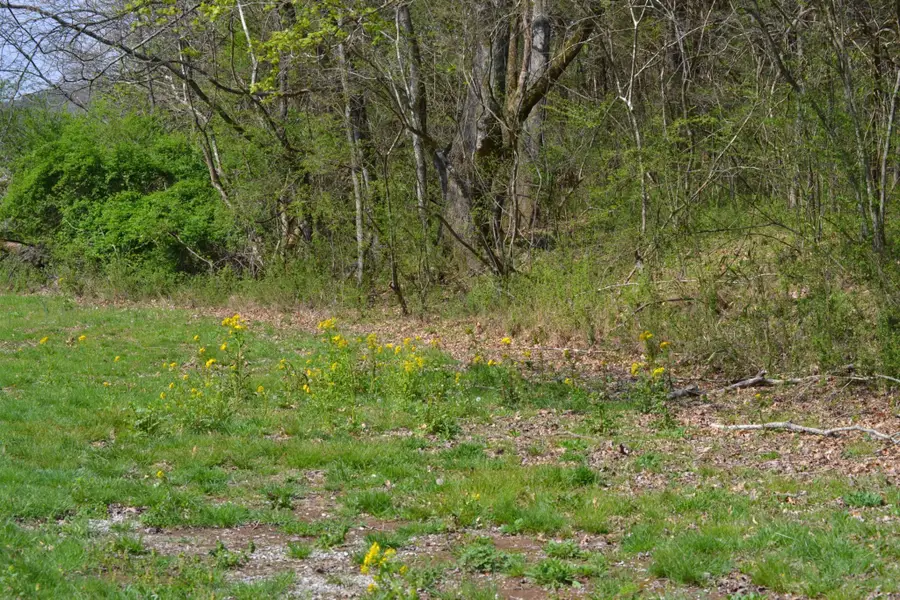 151 Oak Ln, Pulaski, TN 38478 - Image #2