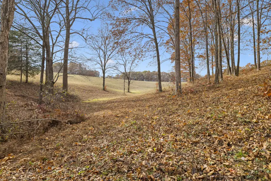 5515 Old Hwy 96, Franklin, TN 37064 - #2