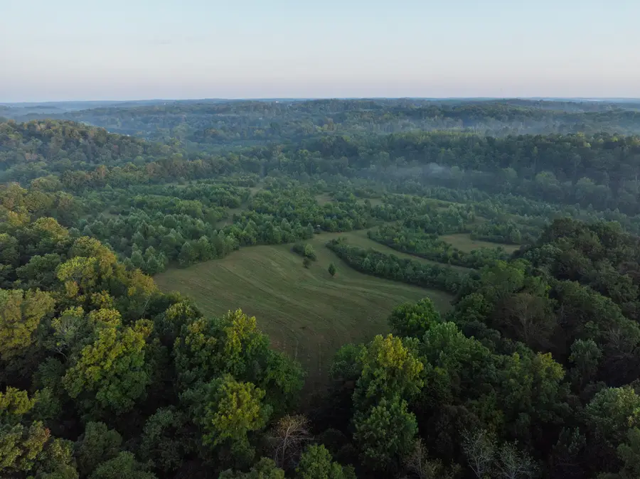 1125 Dawson Rd, White Bluff, TN 37187 - Image #3