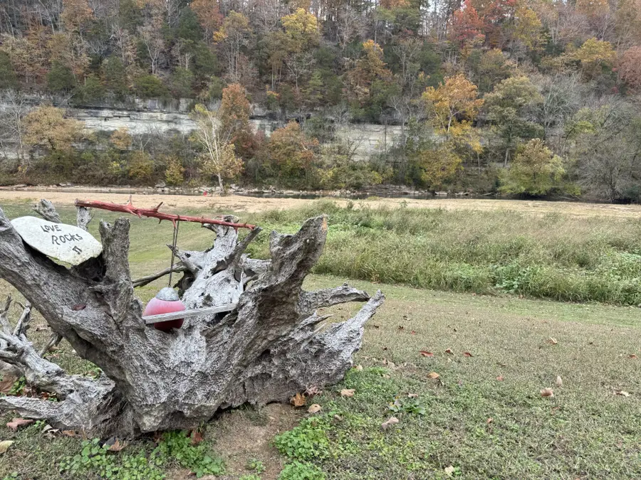 145 Big Buffalo Estates Cir, Linden, TN 37096 - #2