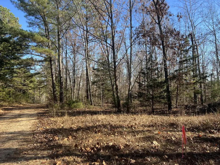 0 Sanders Rd, Lyles, TN 37098 - Image #3