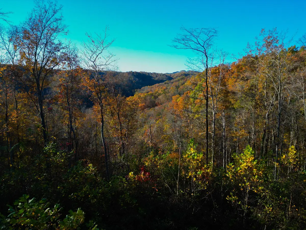 0 Rock Springs Rd, Celina, TN 38551 - Image #1