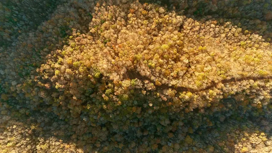 0 Rock Springs Rd Tract 13, Celina, TN 38551 - Image #2