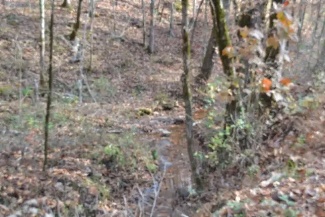 0 Wet Mill Creek Rd, Celina, TN 38551 - Image #3