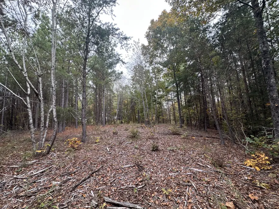 316 Arbor, Linden, TN 37096 - Image #3