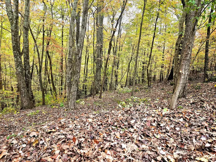 0 Drew Ct, Smithville, TN 37166 - Image #3