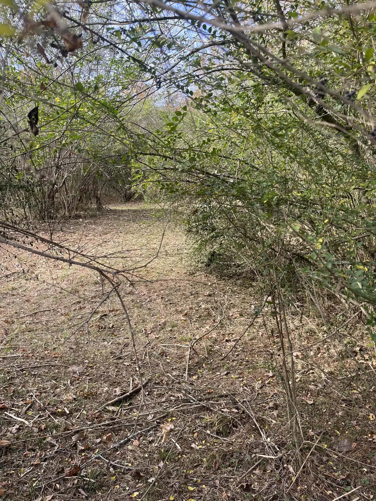 3371 Freeman Hollow Rd, Goodlettsville, TN 37072 - Image #1