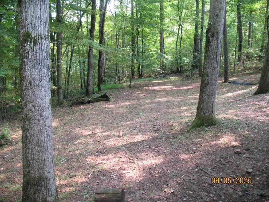 1555 Brown Creek Dr, Crossville, TN 38571 - Image #3