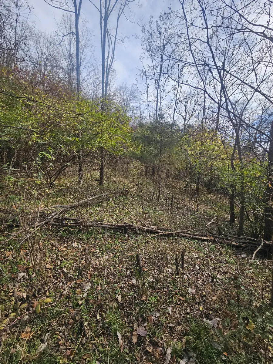 3714 Homeland Dr, Nashville, TN 37218 - Image #3