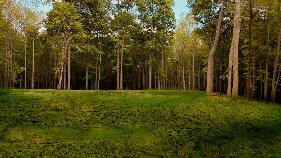 7960 Bill Moss Rd, White House, TN 37188 - Image #2