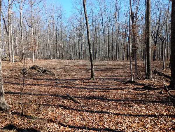 0 Laurel Lake Dr, Monteagle, TN 37356