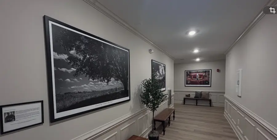 3171 Setting Sun Dr #203, Thompsons Station, TN 37179 - Image #3