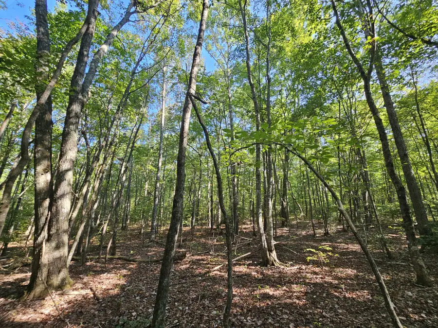 71 Sr 108, Gruetli Laager, TN 37339 - Image #2