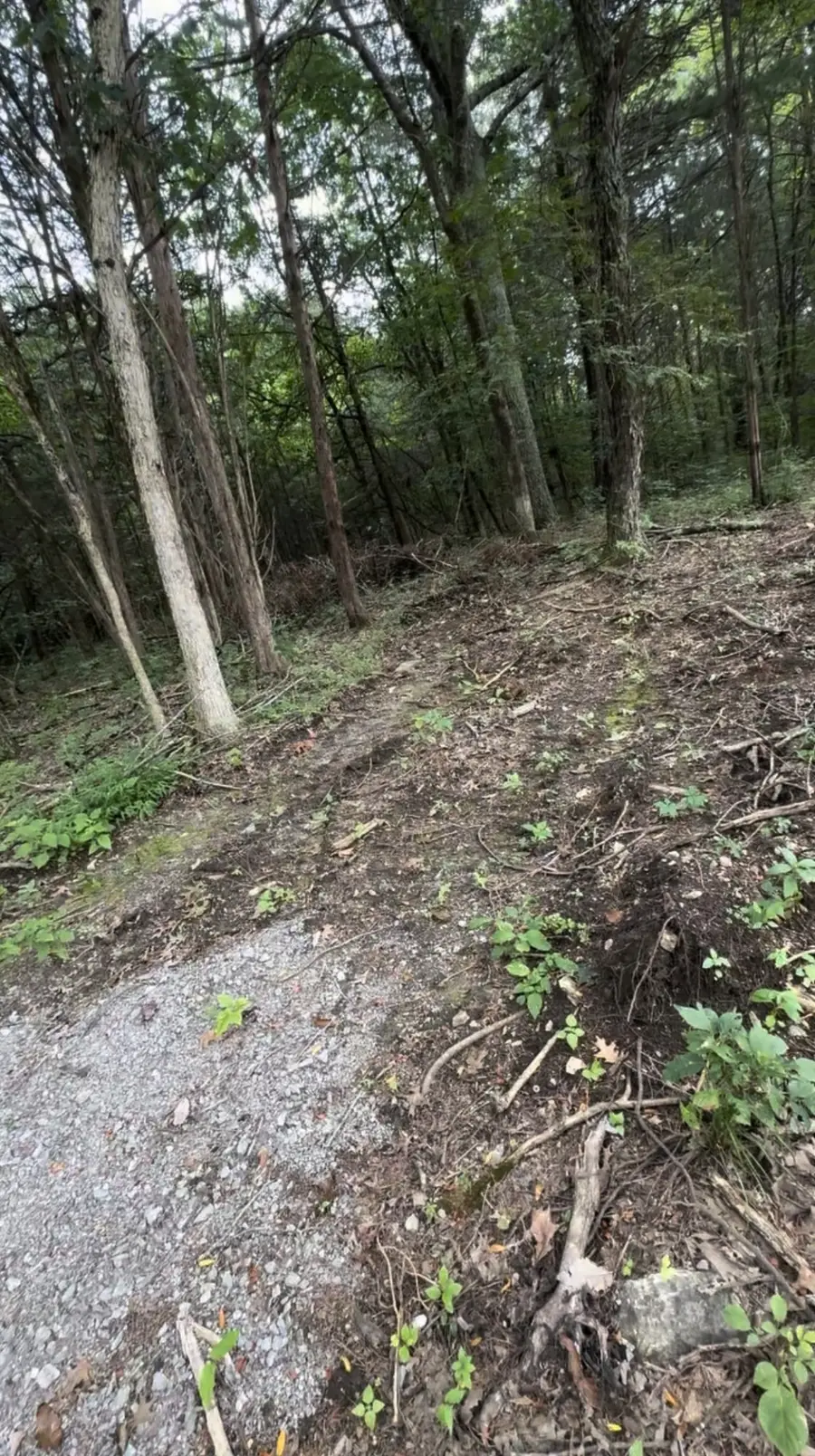 6468 Arno College Grove Rd, College Grove, TN 37046 - Image #3