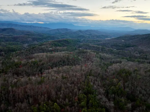 1 Wildwood Way, Sevierville, TN 37876