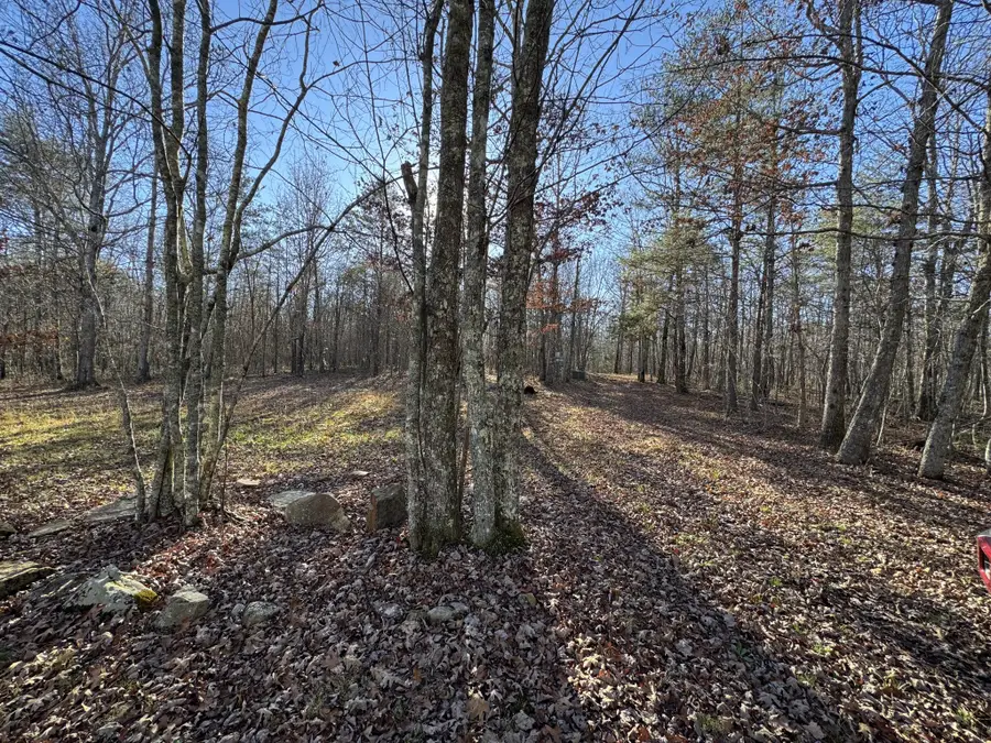 224 Azalea Ridge Rd, Tracy City, TN 37387 - Image #2