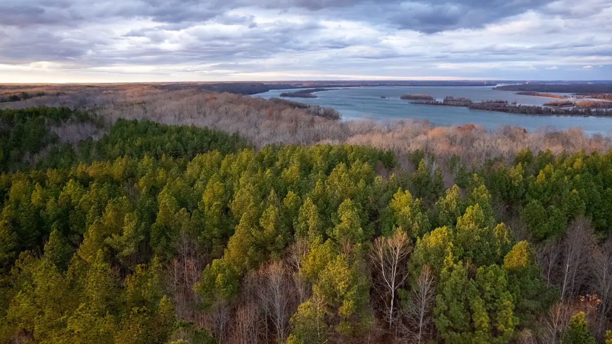 0 Birdsong Rd, Holladay, TN 38341 - #1