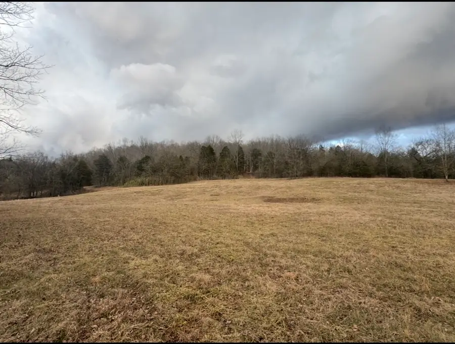 502 Rogues Fork Rd, Bethpage, TN 37022 - Image #2