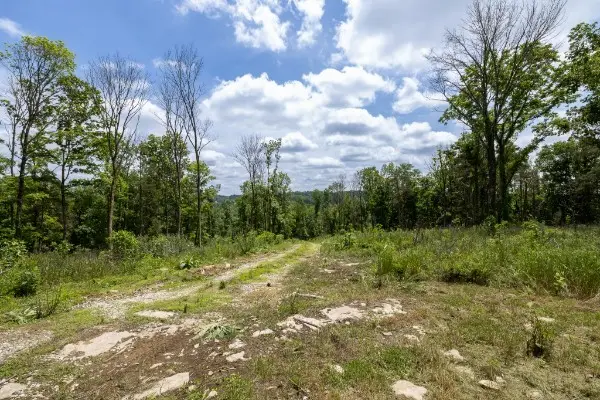 0 Goose Branch Rd, Lynchburg, TN 37352 - Image #3