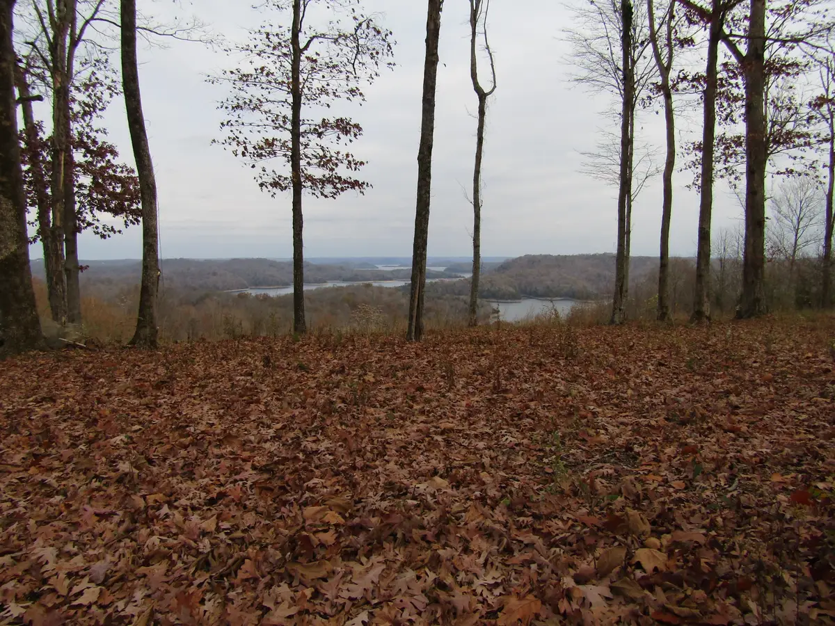 0 Rock Fish Rd E, Hilham, TN 38568 - Image #1