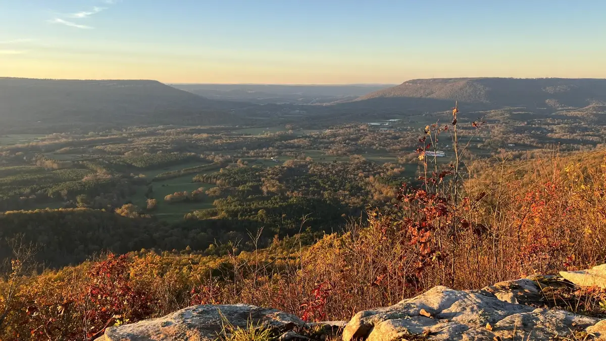 0 Tatum Gulf Road, Menlo, GA 30731 - #1