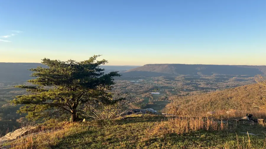 0 Tatum Gulf Road, Menlo, GA 30731 - #3