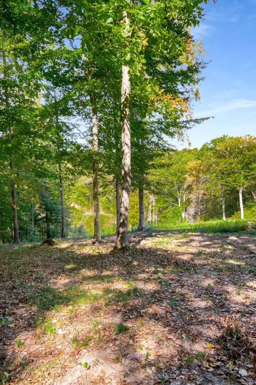 5436 Parker Branch Rd, Franklin, TN 37064 - #2