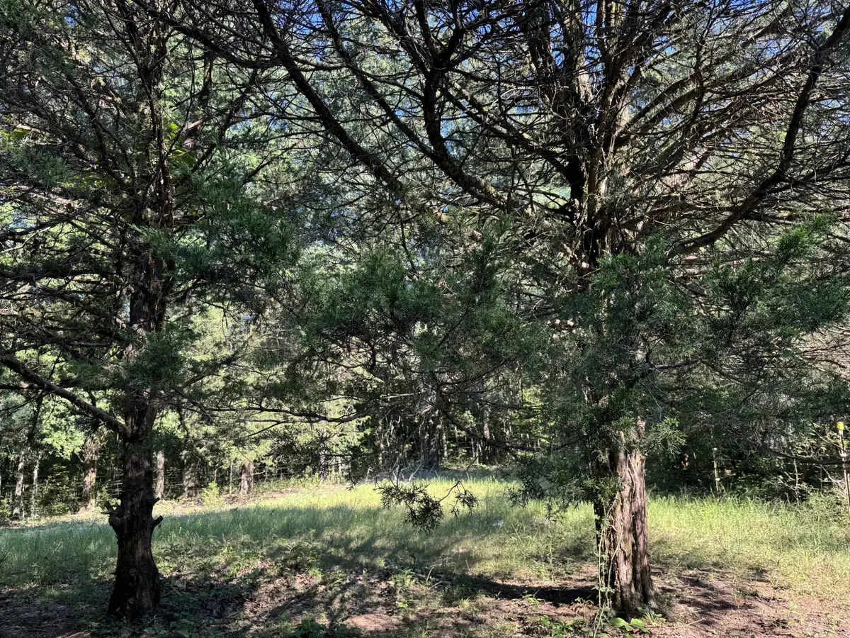 0 Lunns Store Rd, Chapel Hill, TN 37034 - Image #1