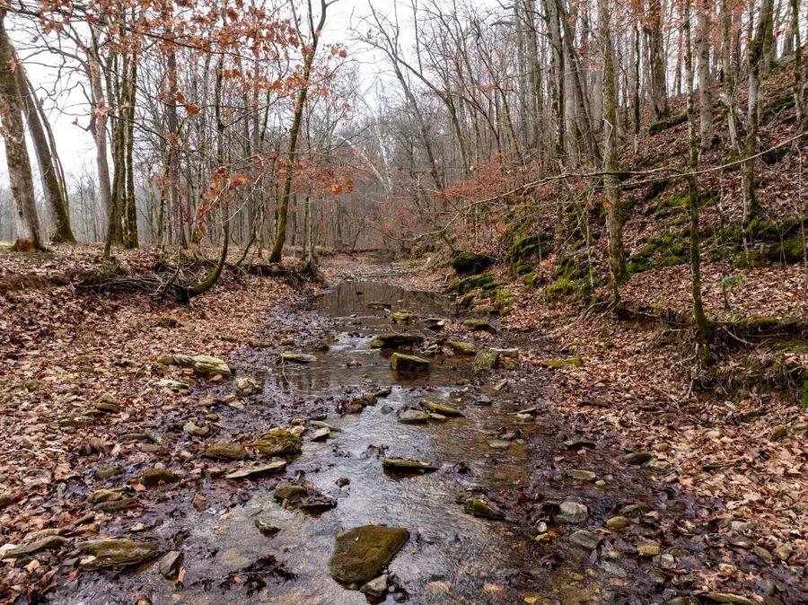 0 Shelter Branch Road, Cumberland Furnace, TN 37051 - Image #3