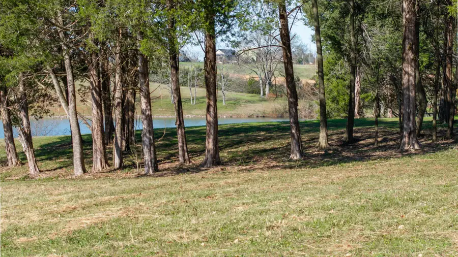 0 Three Forks Bridge Rd, Wartrace, TN 37183 - Image #3