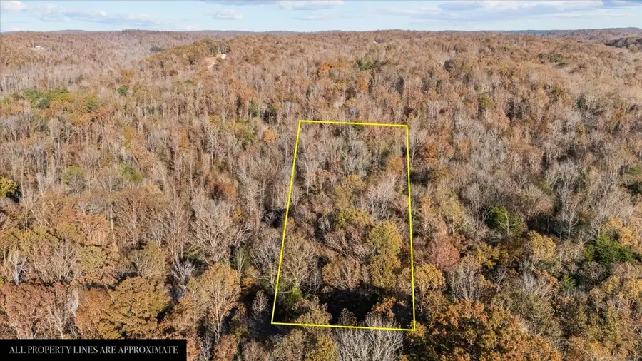 0 Cuba Landing Rd, Waverly, TN 37185 - Image #3