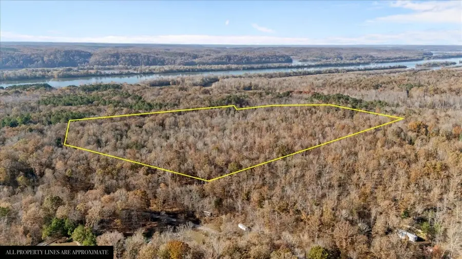 0 Cuba Landing Rd, Waverly, TN 37185 - Image #3