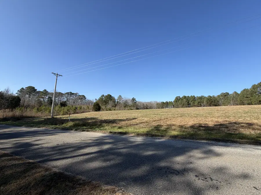 135 Coxburg Road, Holladay, TN 38341 - #2