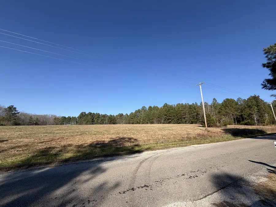 135 Coxburg Road, Holladay, TN 38341 - #3