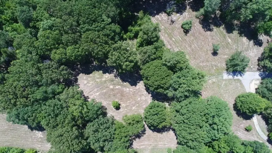 11167 Monterey Rd, Eads, TN 38028 - #3