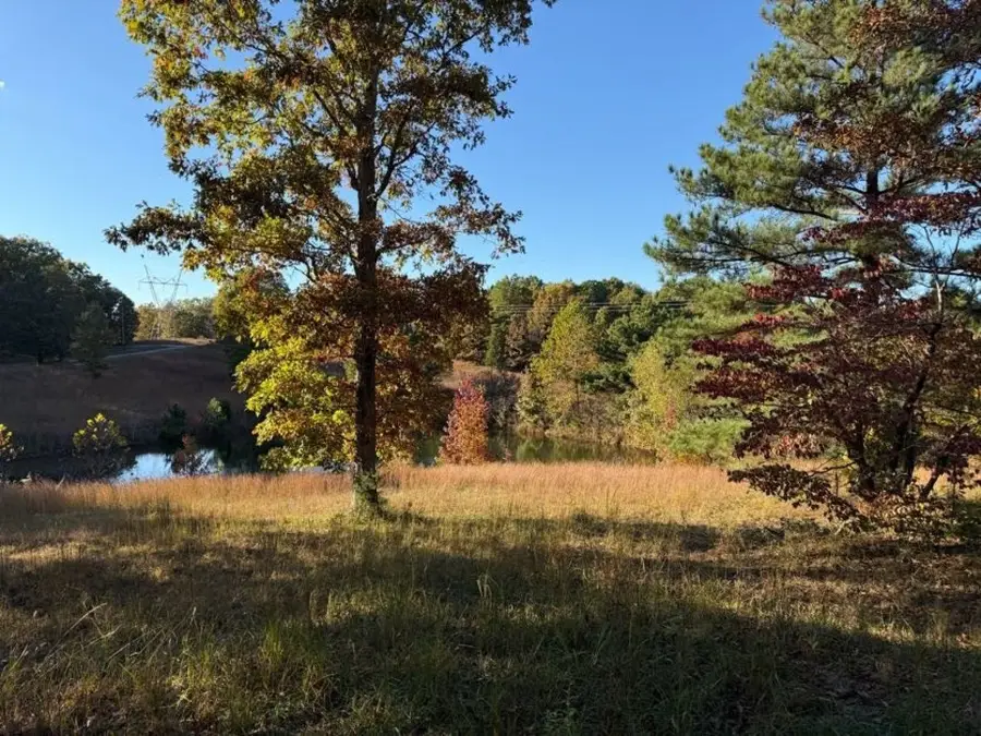 1600 Little Hurricane Creek Rd, Mc Ewen, TN 37101 - Image #2