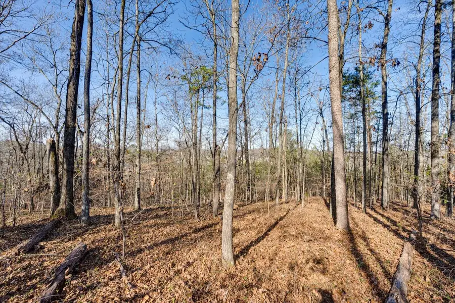 5831 Hunter Road, Ooltewah, TN 37363 - Image #3