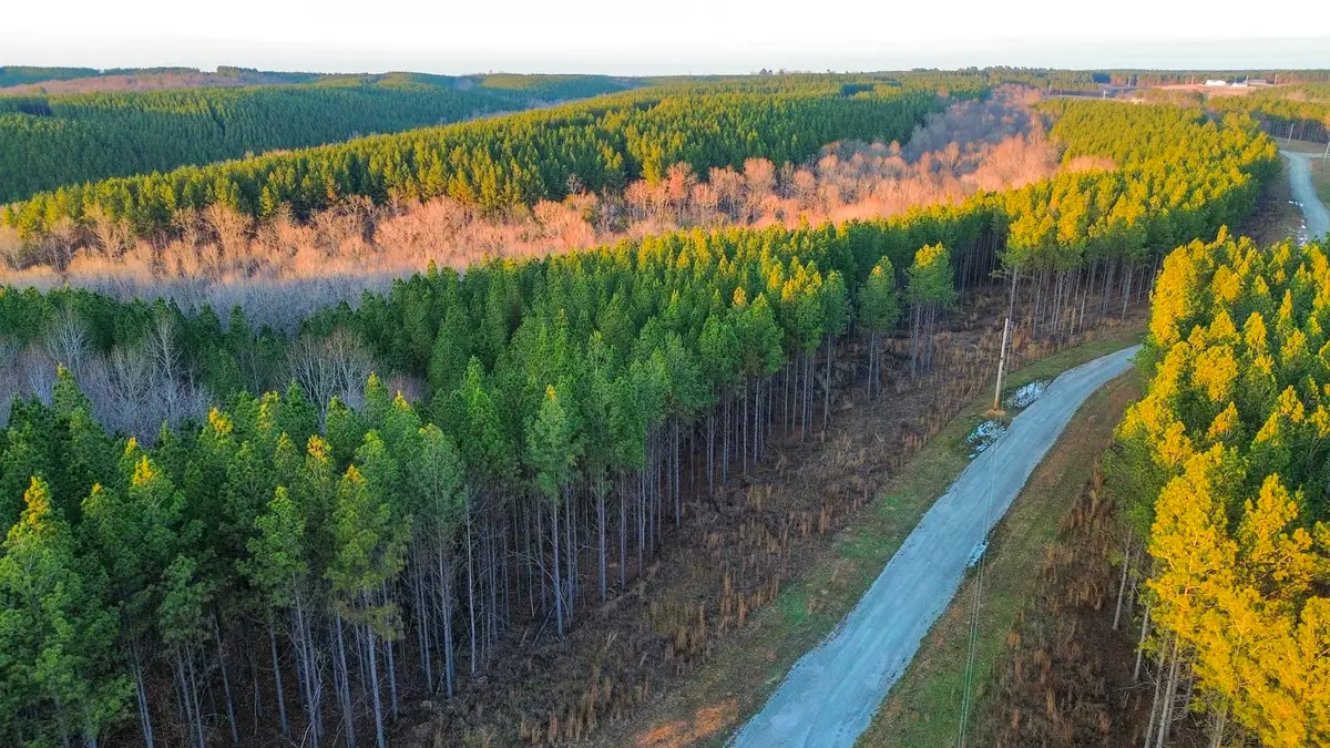 0 Summit Dr, Hohenwald, TN 38462 - Image #1